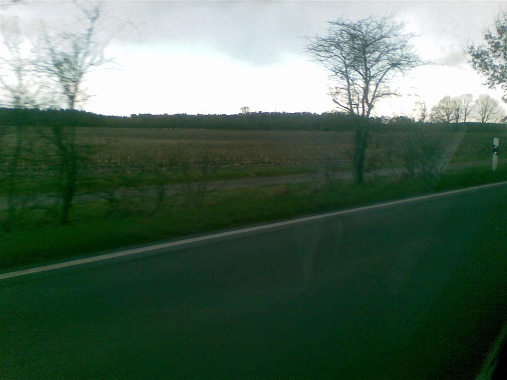 26032008(032) (Large)