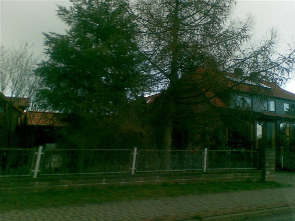 26032008(037) (Large)