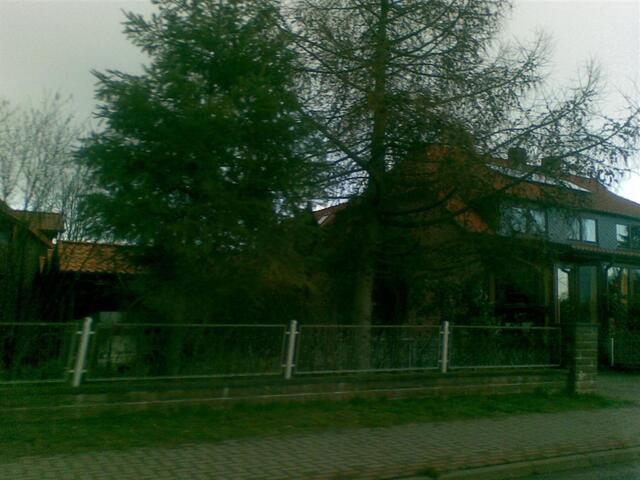 26032008(037) (Large)