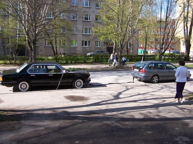 pulmad 022.jpg