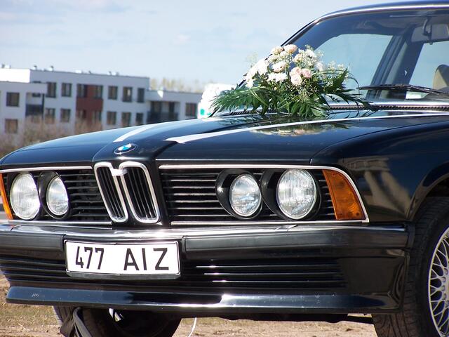 pulmad 081.jpg