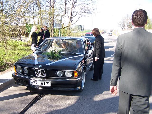 pulmad 090.jpg
