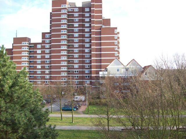 Picture 001 (Large)