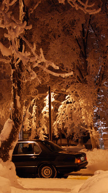 DSC_0649.JPG