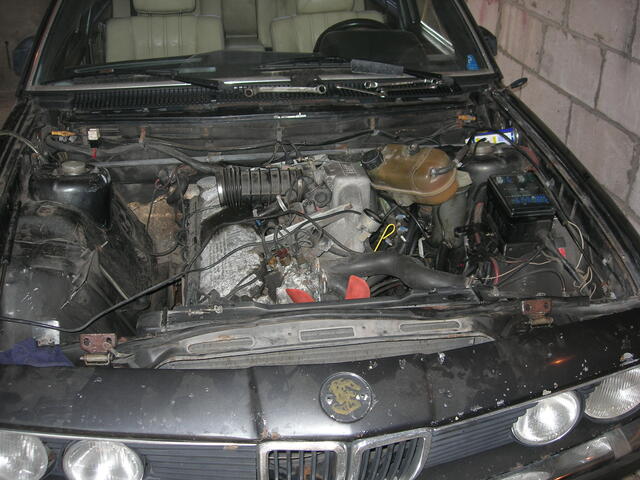DSCN4113.JPG