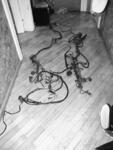 DSCF0691.JPG