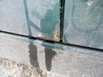 DSCF8449.JPG