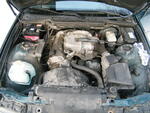 DSCF8455.JPG
