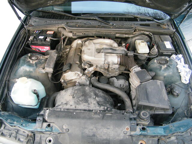 DSCF8455.JPG