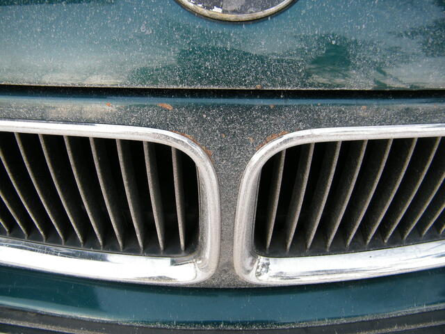 DSCF8460.JPG