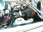 DSCF2186.JPG