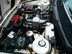 DSCF2231.JPG