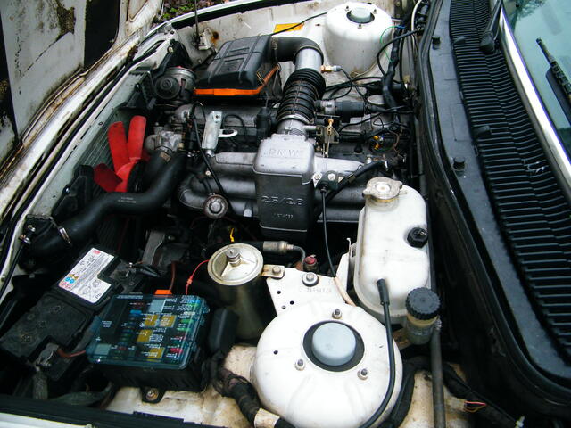 DSCF2231.JPG