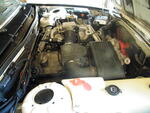DSCF9910.JPG
