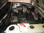 DSCF9911.JPG
