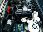 DSCF2146.JPG