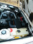 DSCF2148.JPG