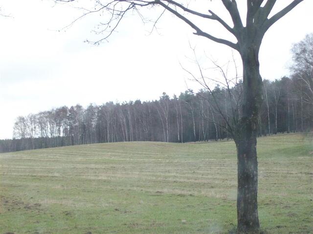 Picture 117 (Large)