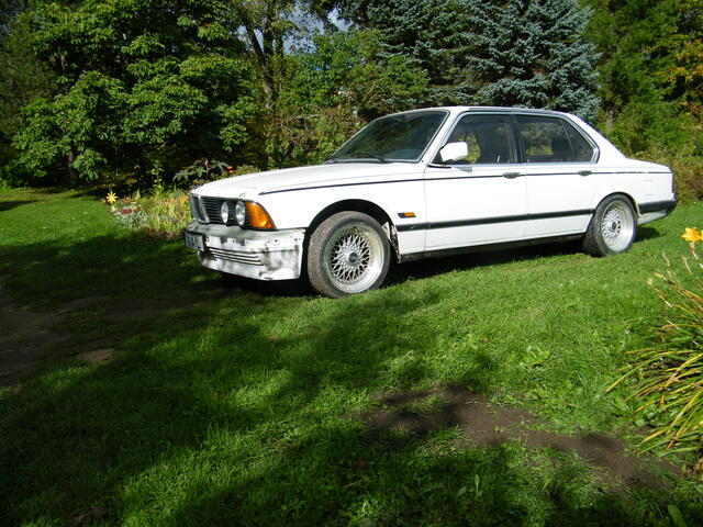 DSCF0713.JPG