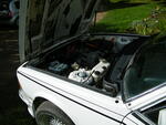 DSCF0715.JPG
