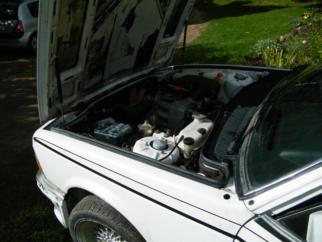 DSCF0715.JPG