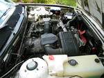 DSCF0718.JPG