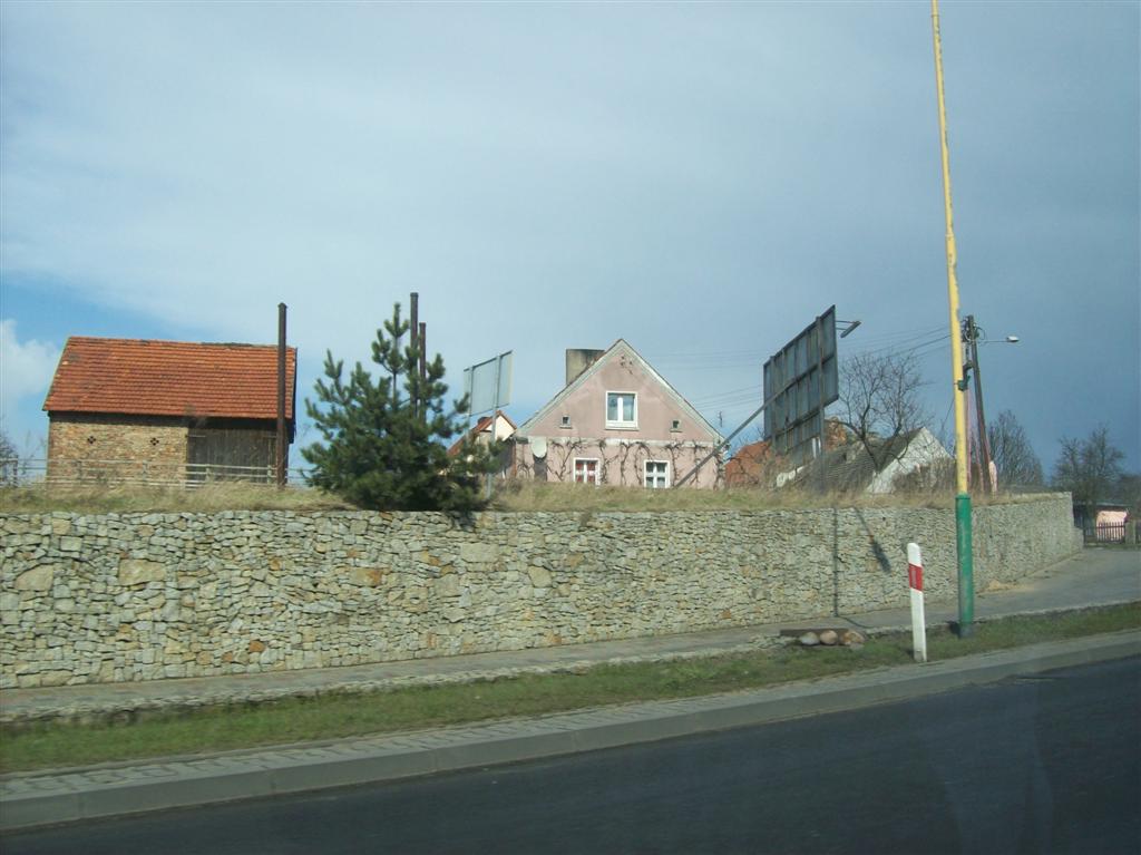 Picture 124 (Large)