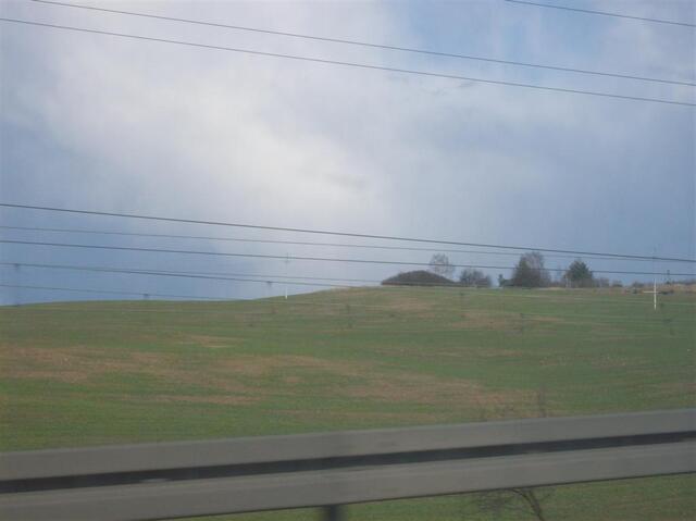Picture 134 (Large)