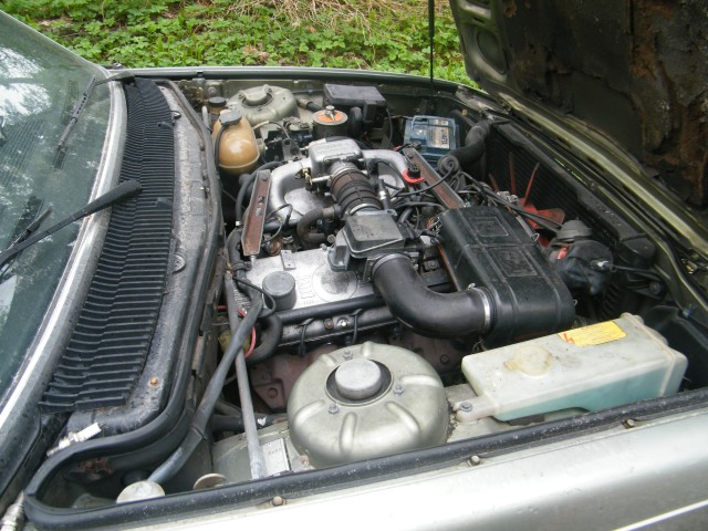 DSCF5968.JPG