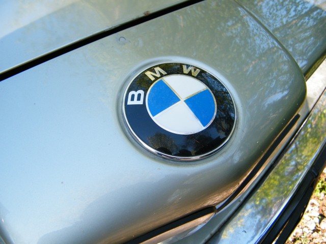 DSCF6037.JPG