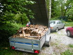 DSCF6662.JPG