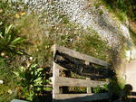 DSCF7371.JPG
