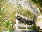 DSCF7372.JPG