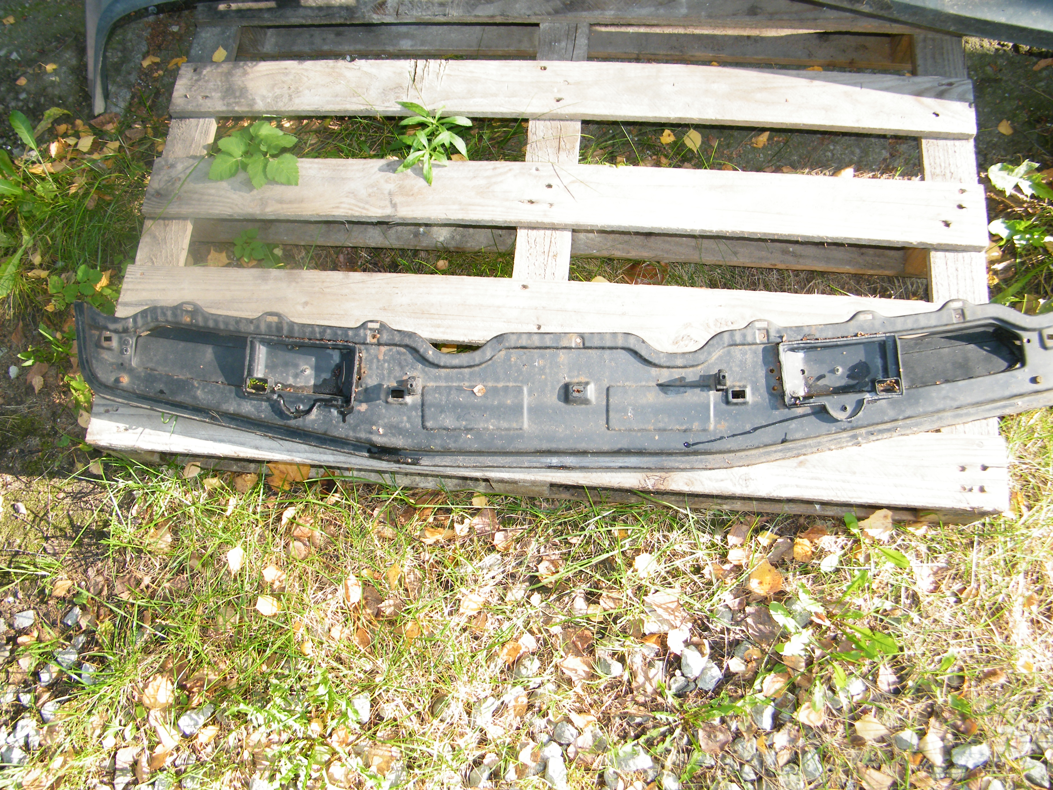 DSCF7374.JPG