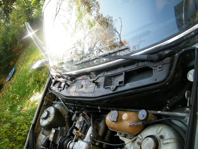 DSCF7375.JPG