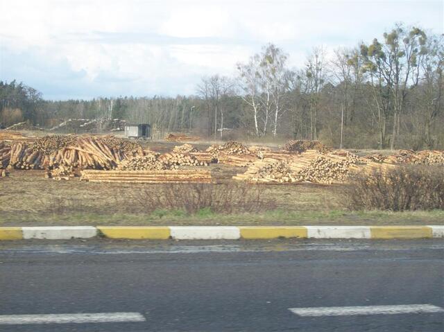 Picture 145 (Large)