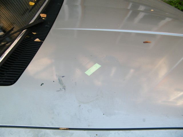 DSCF7255.JPG