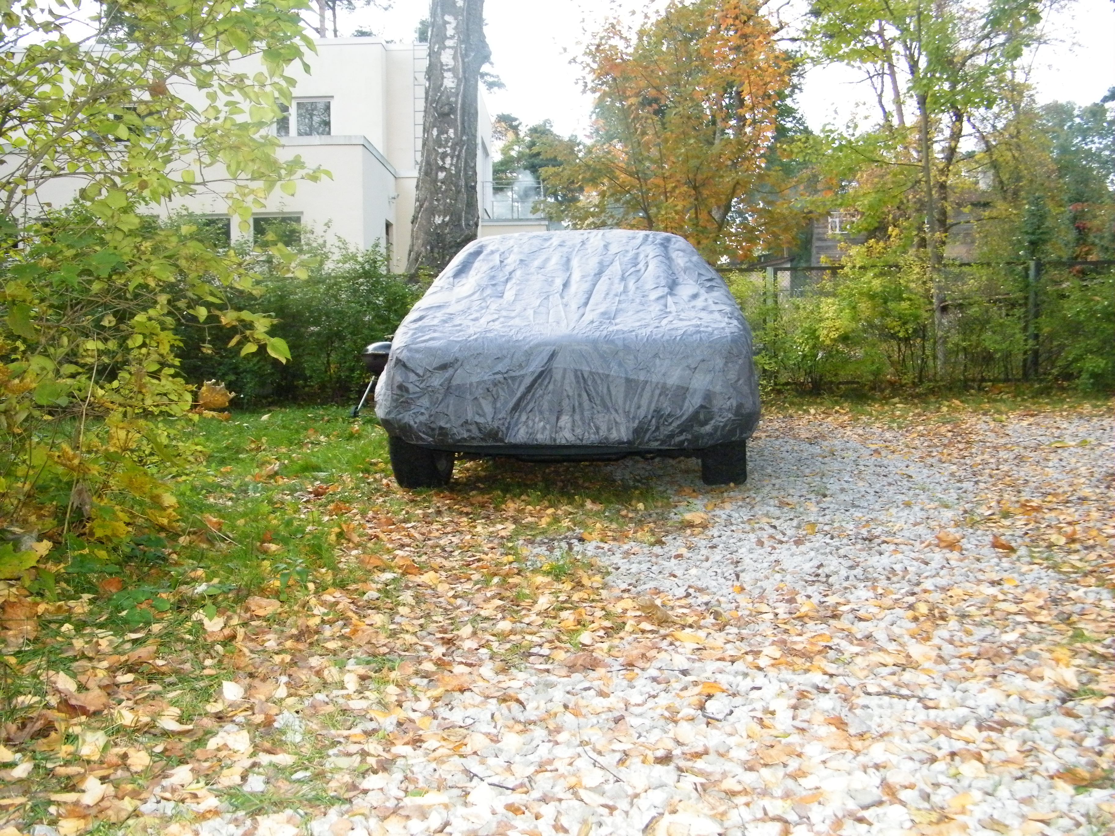 DSCF7458.JPG