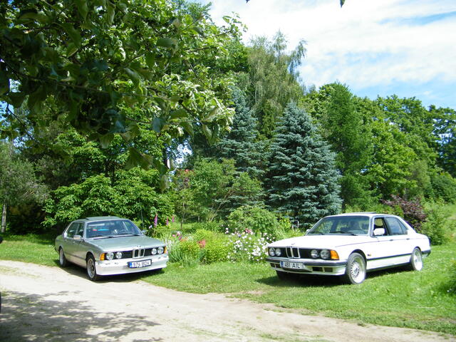 DSCF0129.JPG