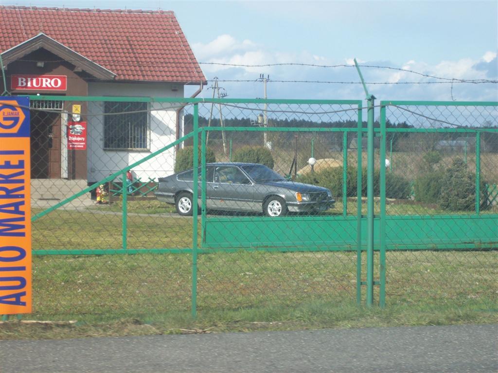 Picture 152 (Large)