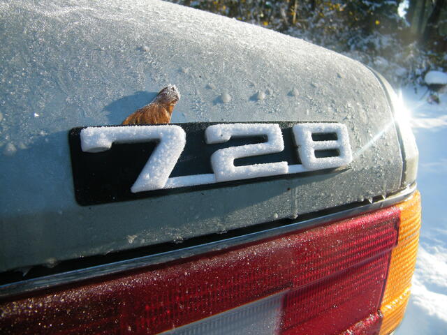 DSCF0839.JPG