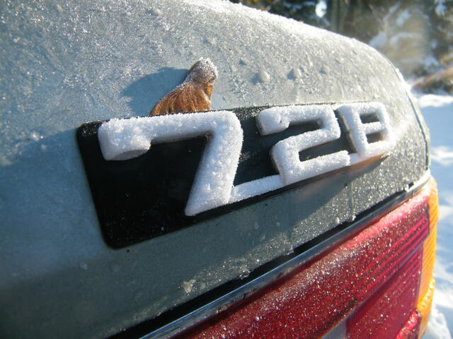 DSCF0840.JPG
