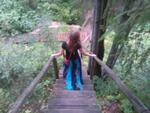 WP_001189.jpg