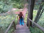 WP_001190.jpg