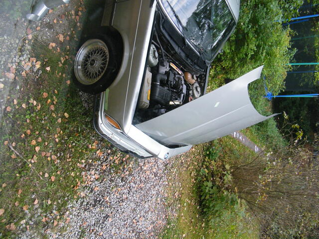 DSCF2052.JPG
