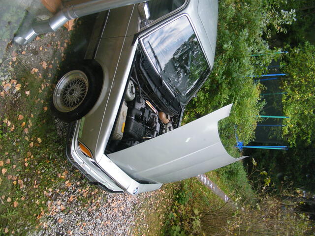 DSCF2053.JPG