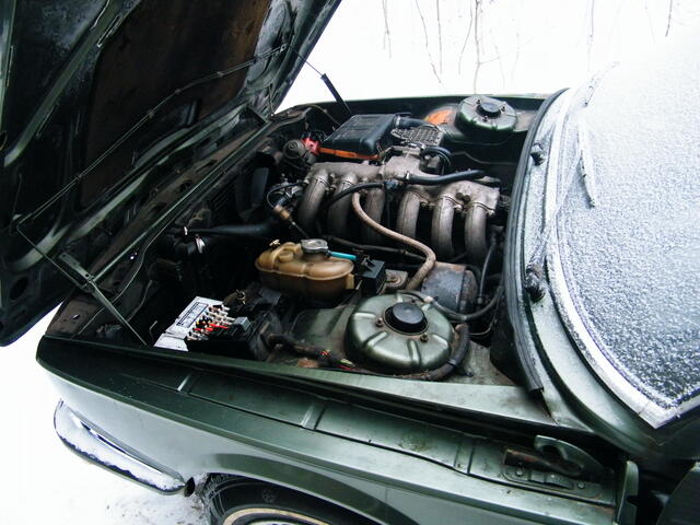 DSCF1211.JPG