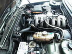 DSCF1213.JPG