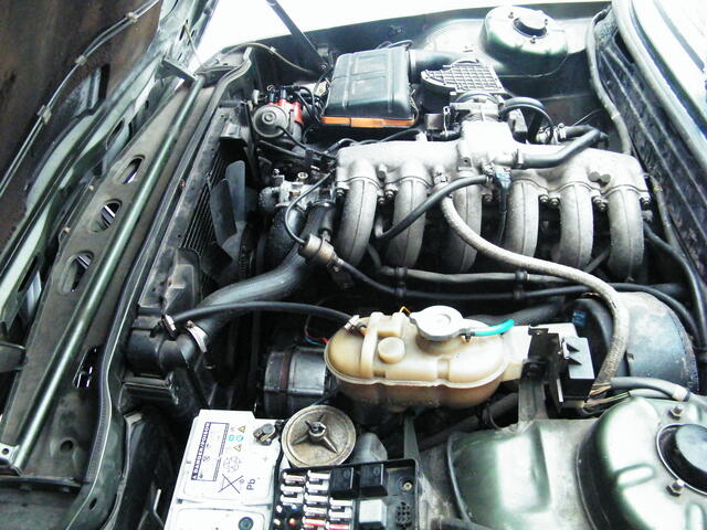 DSCF1213.JPG