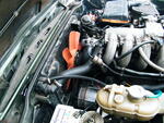 DSCF1278.JPG
